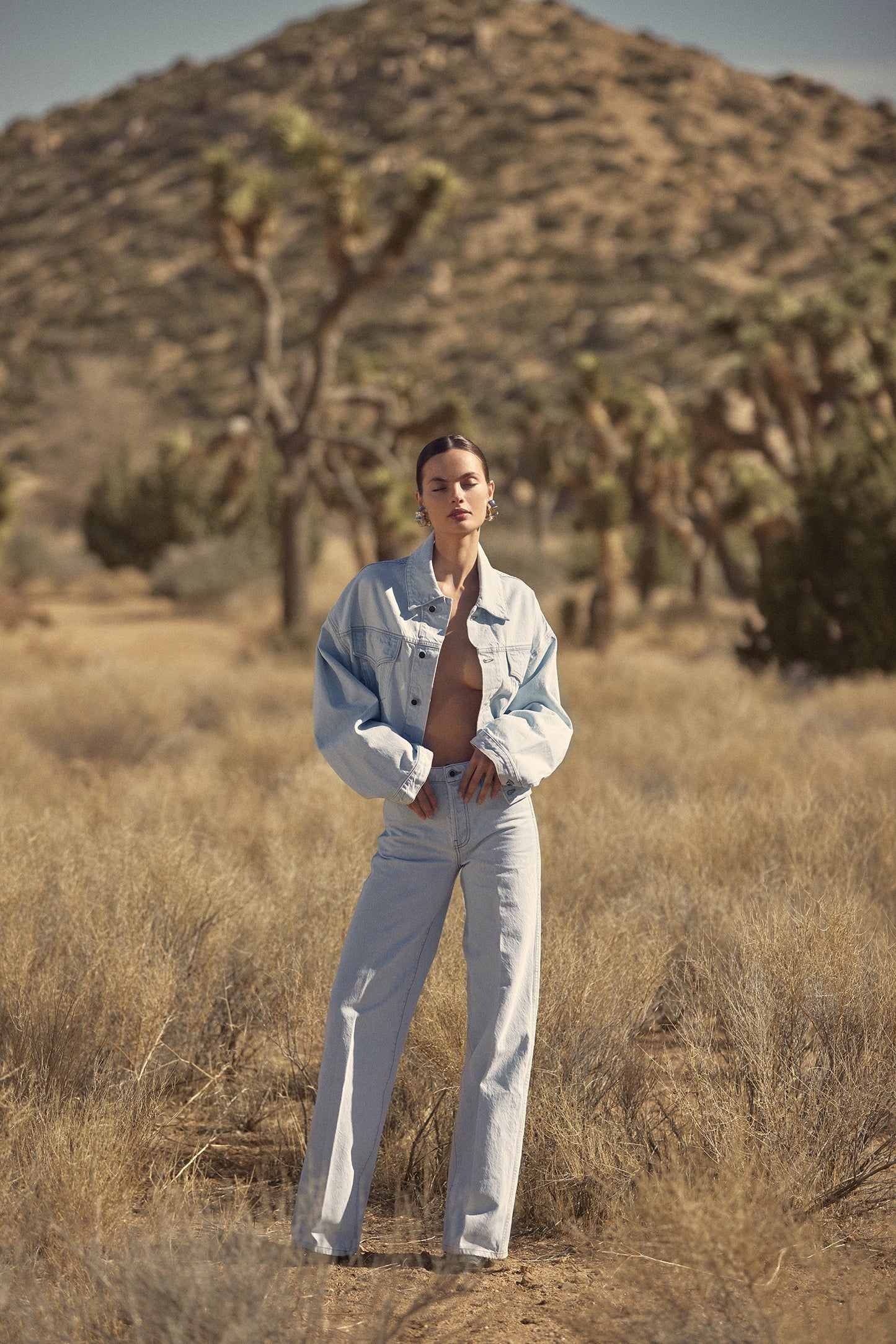 606-the-perfect-denim-jacket-vintage-light-2.jpg The Perfect Denim Jacket (Vintage Light)
